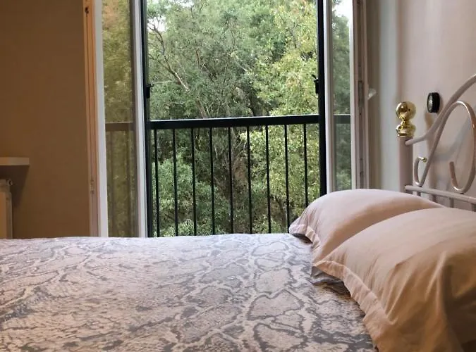 Vue Avec Parking Gratuit Sur Place Апартаменты